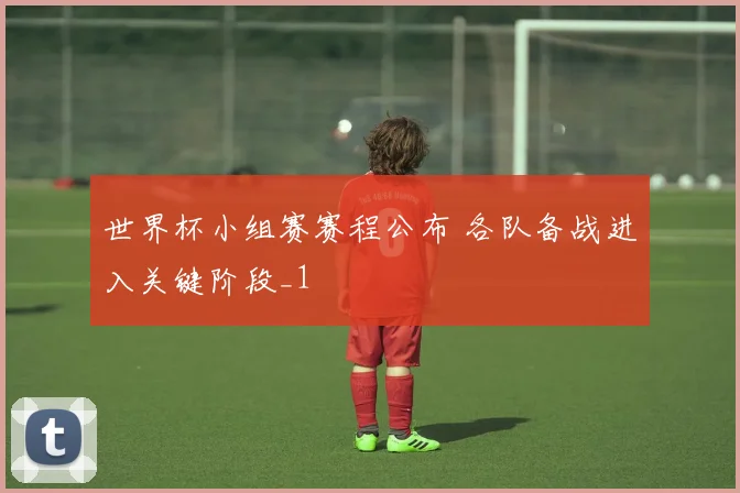 世界杯小组赛赛程公布 各队备战进入关键阶段_1