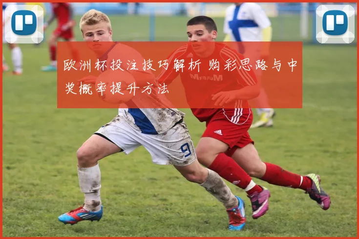 欧洲杯投注技巧解析 购彩思路与中奖概率提升方法