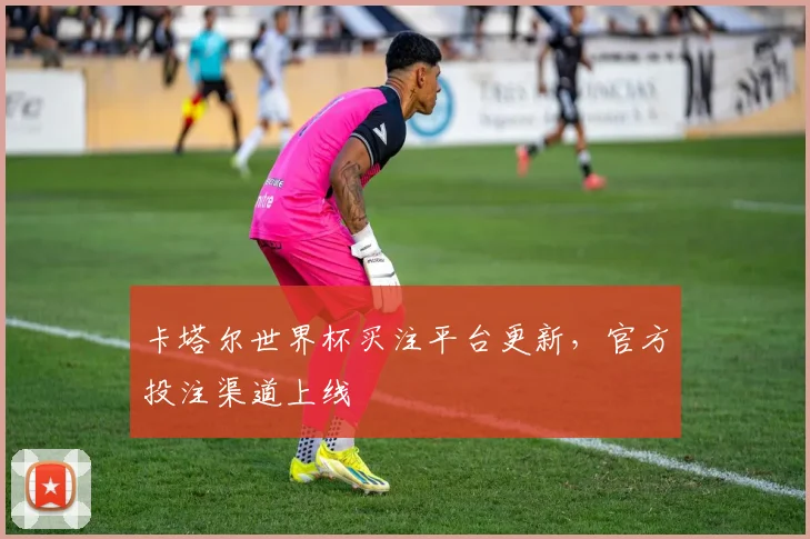 卡塔尔世界杯买注平台更新,官方投注渠道上线