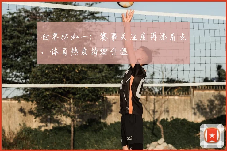世界杯加一:赛事关注度再添看点,体育热度持续升温