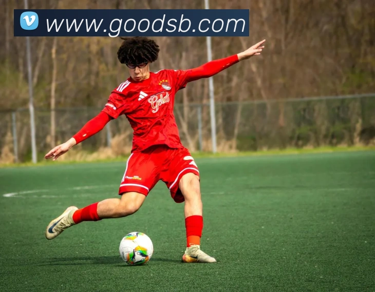 天博在线客服APP 封面图